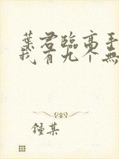 叶君临高手下山我有九个无敌师父