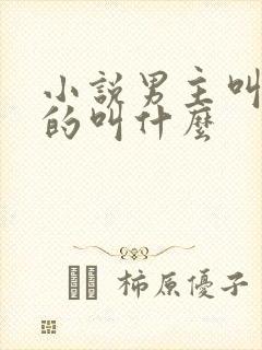 小说男主叫陈平的叫什么