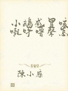 小鹅感冒咳嗽喉咙呼噜声怎么治疗