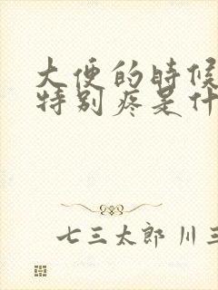 大便的时候肚子特别疼是什么原因