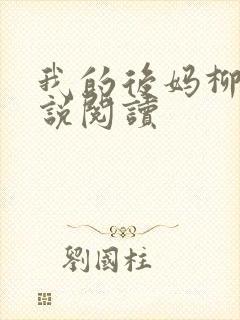 我的后妈柳姨小说阅读封面