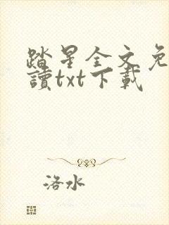 踏星全文免费阅读txt下载