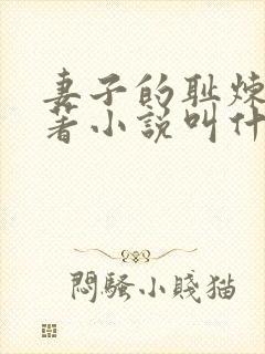 妻子的耻炼狱原著小说叫什么