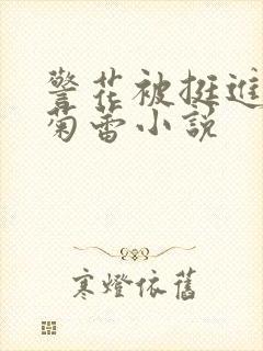 警花被挺进白嫩菊蕾小说