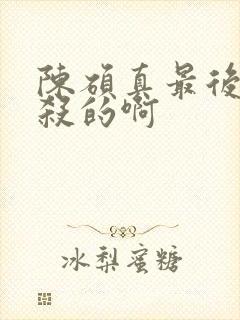 陈硕真最后被谁杀的啊封面