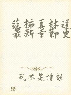 苏柿真林道小说最新章节更新时间