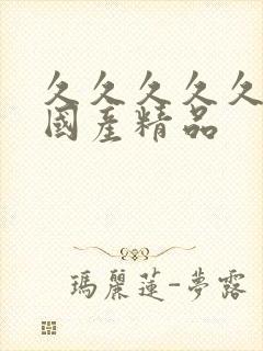 久久久久久99国产精品