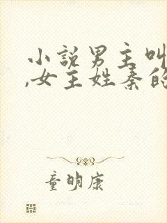 小说男主叫沈宴,女主姓秦的小说