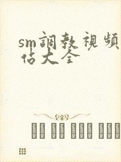 sm调教视频网站大全