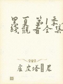 黑夏 第1季在线观看全集免费播放