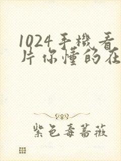 1024手机看片你懂的在线播放