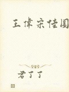 王伟宋佳图片封面