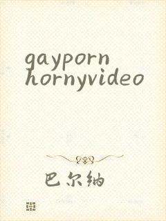 gaypornhornyvideo封面