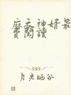 麻衣神婿最新免费阅读