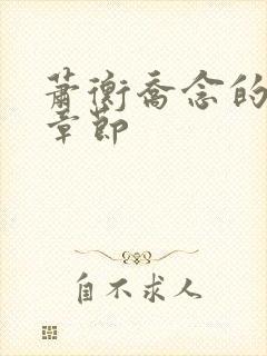 萧衡乔念的最新章节