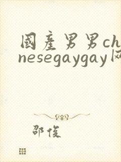 国产男男chinesegaygay网站