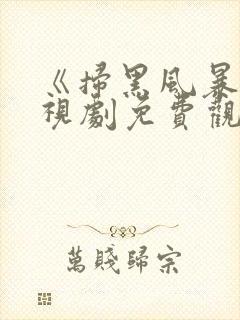 《扫黑风暴》电视剧免费观看