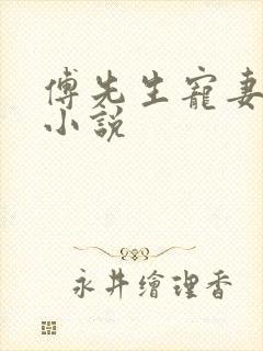 傅先生宠妻无度小说