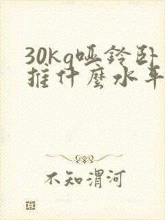 30kg哑铃卧推什么水平