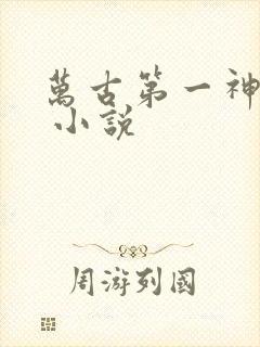 万古第一神有声 小说