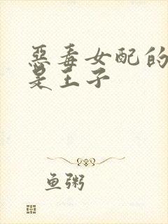 恶毒女配的本命是王子