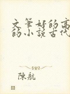文笔好的高质量的小说古代言情