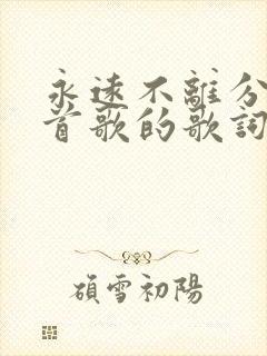 永远不离分是哪首歌的歌词封面