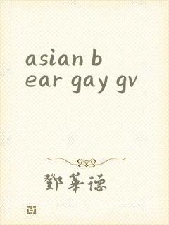 asian bear gay gv