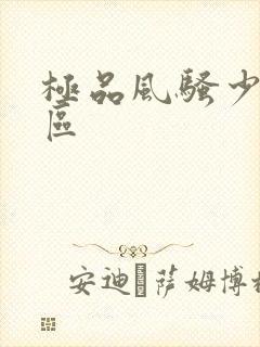 极品风骚少妇一区