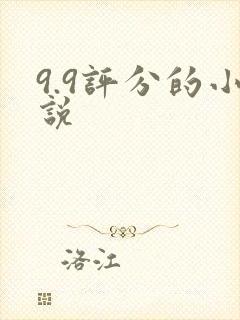 9.9评分的小说封面