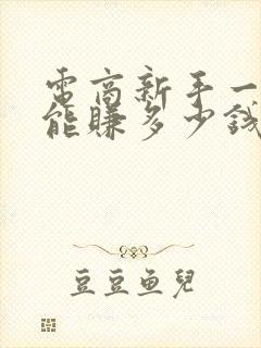 电商新手一个月能赚多少钱