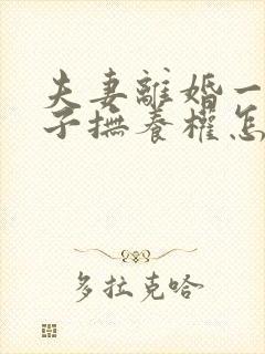 夫妻离婚一个孩子抚养权怎么判定封面