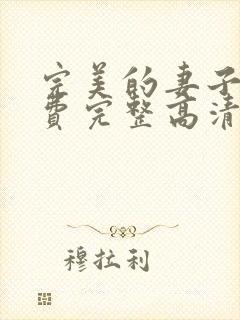 完美的妻子2免费完整高清韩剧在线观看