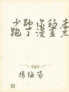 少帅你的老婆又跑了漫画免费观看封面