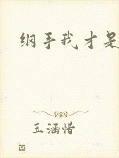 纲手我才是火影封面