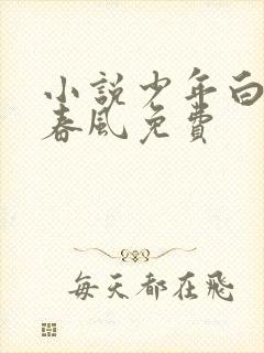 小说少年白马醉春风免费