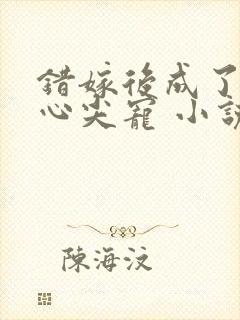 错嫁后成了总裁心尖宠 小说