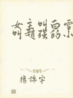 女主叫白雪男主叫赵强的小说封面