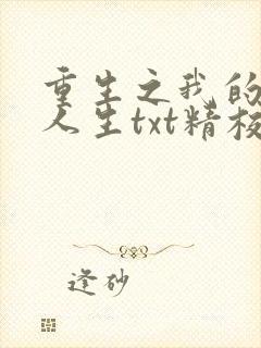 重生之我的书记人生txt精校