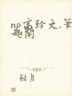 np高干文,笔趣阁