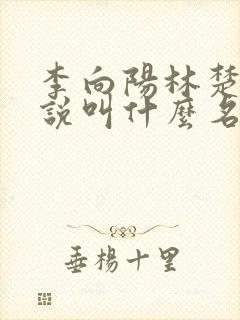 李向阳林楚乔小说叫什么名字