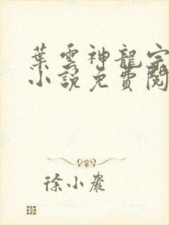 叶云神龙宗最新小说免费阅读