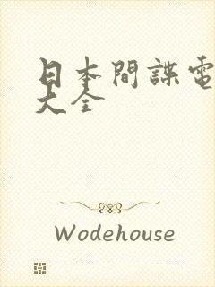 日本间谍电视剧大全封面