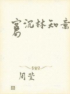 宫沉林知意大结局