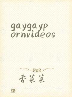 gaygaypornvideos
