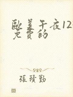 欧美午夜123免费的