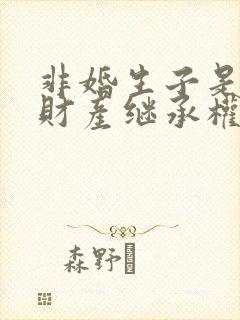 非婚生子是否有财产继承权