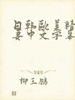 日韩欧美精品人妻中文字幕