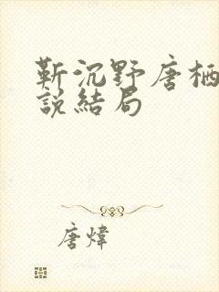 靳沉野唐栖雾小说结局