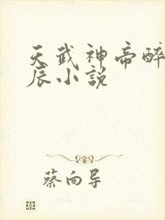 天武神帝醉梦星辰小说封面